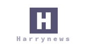 Harrynewsshop